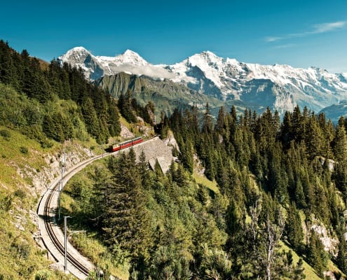Schynige Platte