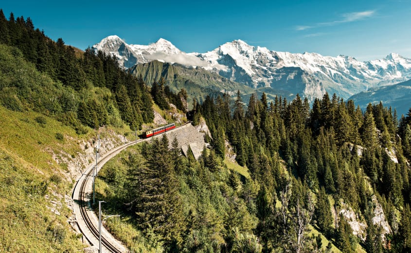 Schynige Platte