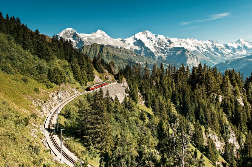 Schynige Platte