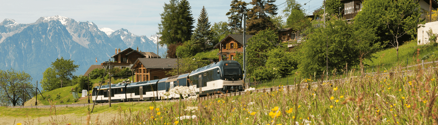 GoldenPass Panoramic