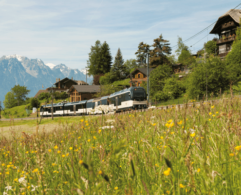 GoldenPass Panoramic