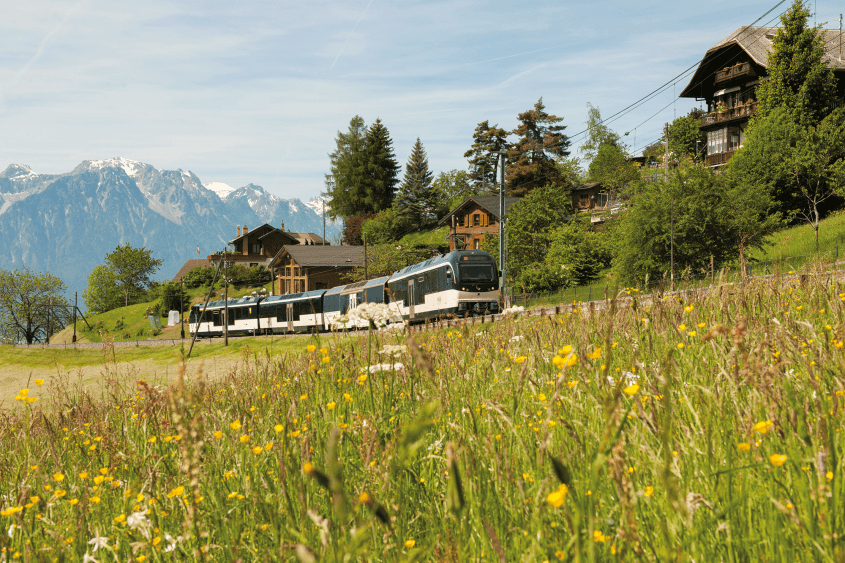 GoldenPass Panoramic